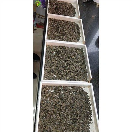 タジキスタンの緑茶